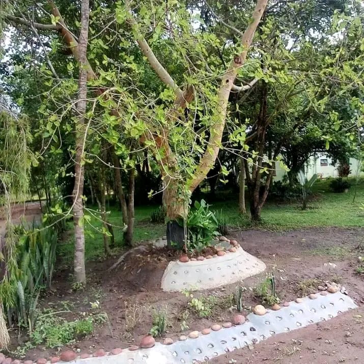 FOR SALE - 4 HECTARES + 6 HOUSES 