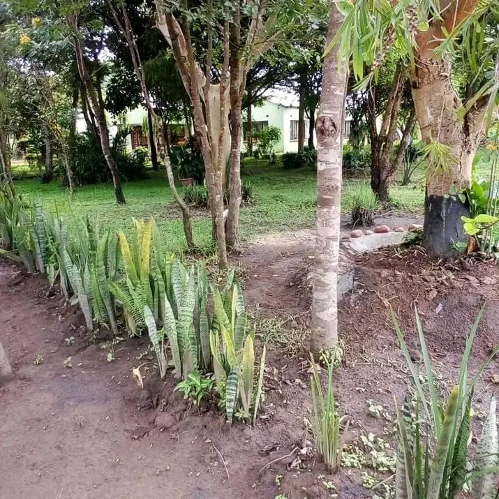 FOR SALE - 4 HECTARES + 6 HOUSES 