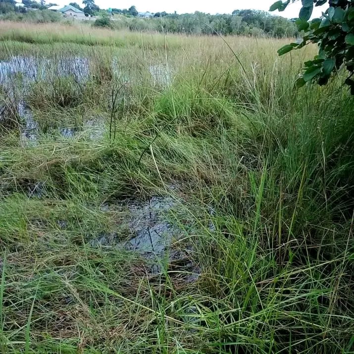 FOR SALE - 4 HECTARES + 6 HOUSES 