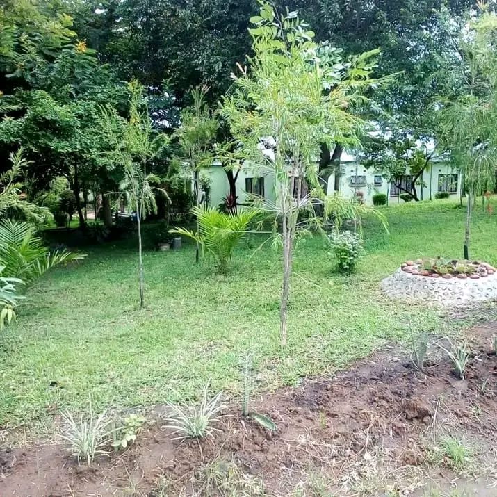 FOR SALE - 4 HECTARES + 6 HOUSES 